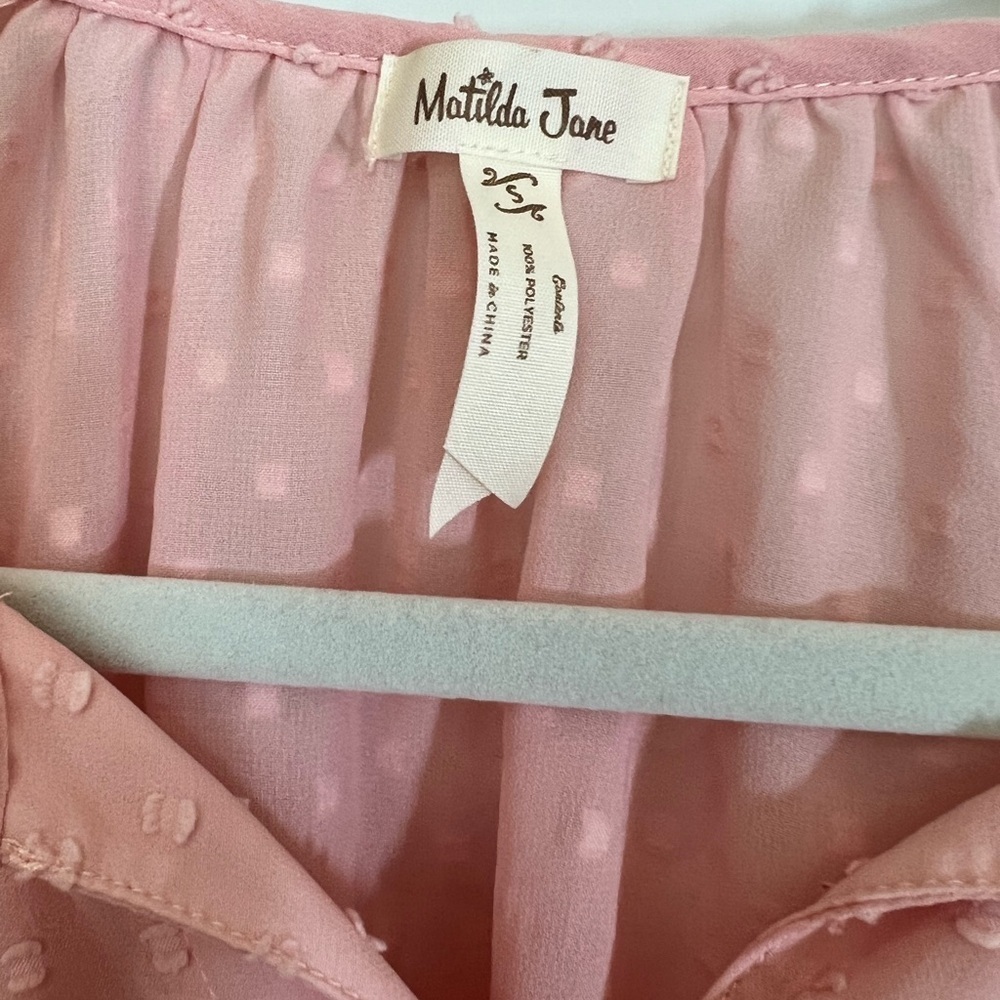 Matilda Jane Women's Sheer Swiss Dot Tunic Pullover Blouse, Small, Light Pink - Picture 6 of 7